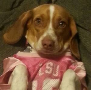 Meet your Posher, Chad